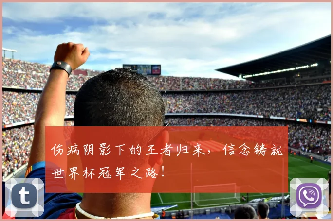 伤病阴影下的王者归来，信念铸就世界杯冠军之路！