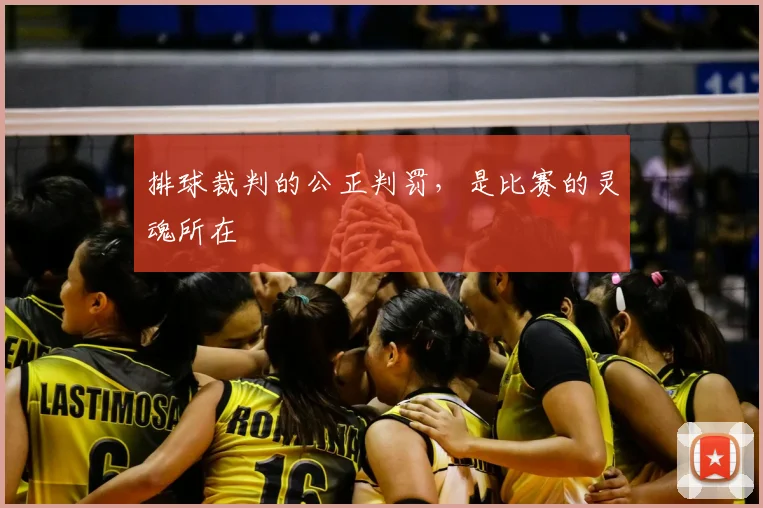 排球裁判的公正判罚，是比赛的灵魂所在