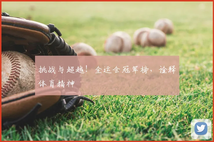 挑战与超越！全运会冠军榜，诠释体育精神